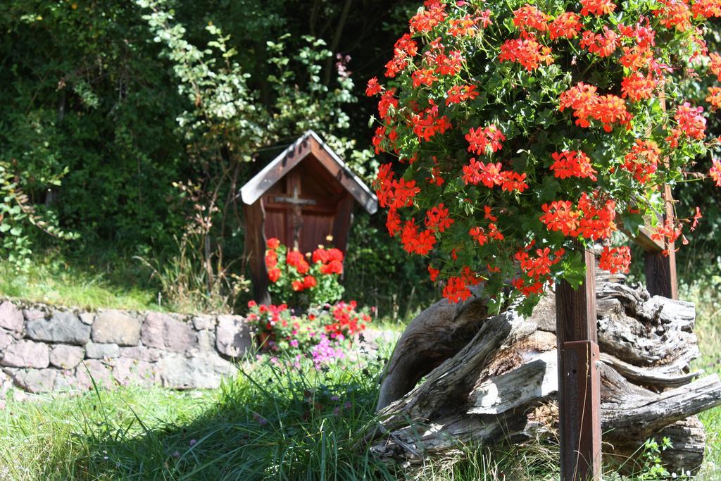 Ferienbauernhof Masunerhof Fiè Екстериор снимка